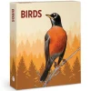 Pomegranate Games & Puzzles|Birds Knowledge Cards