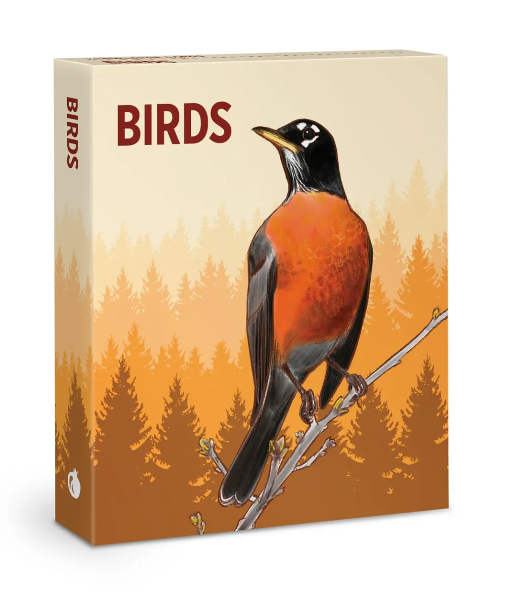 Pomegranate Games & Puzzles|Birds Knowledge Cards