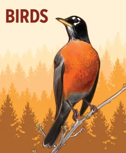 Pomegranate Games & Puzzles|Birds Knowledge Cards