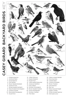 Pomegranate Games & Puzzles|Casey Girard: Backyard Birds 1000-Piece Puzzle