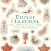Pomegranate Coloring Books & Crafts|Activity Books|Ernest Haeckel: Art Forms in Nature Sticker Book