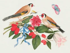Pomegranate Boxed Cards|Flowers, Birds, & Butterflies Celebrations Boxed Notecards