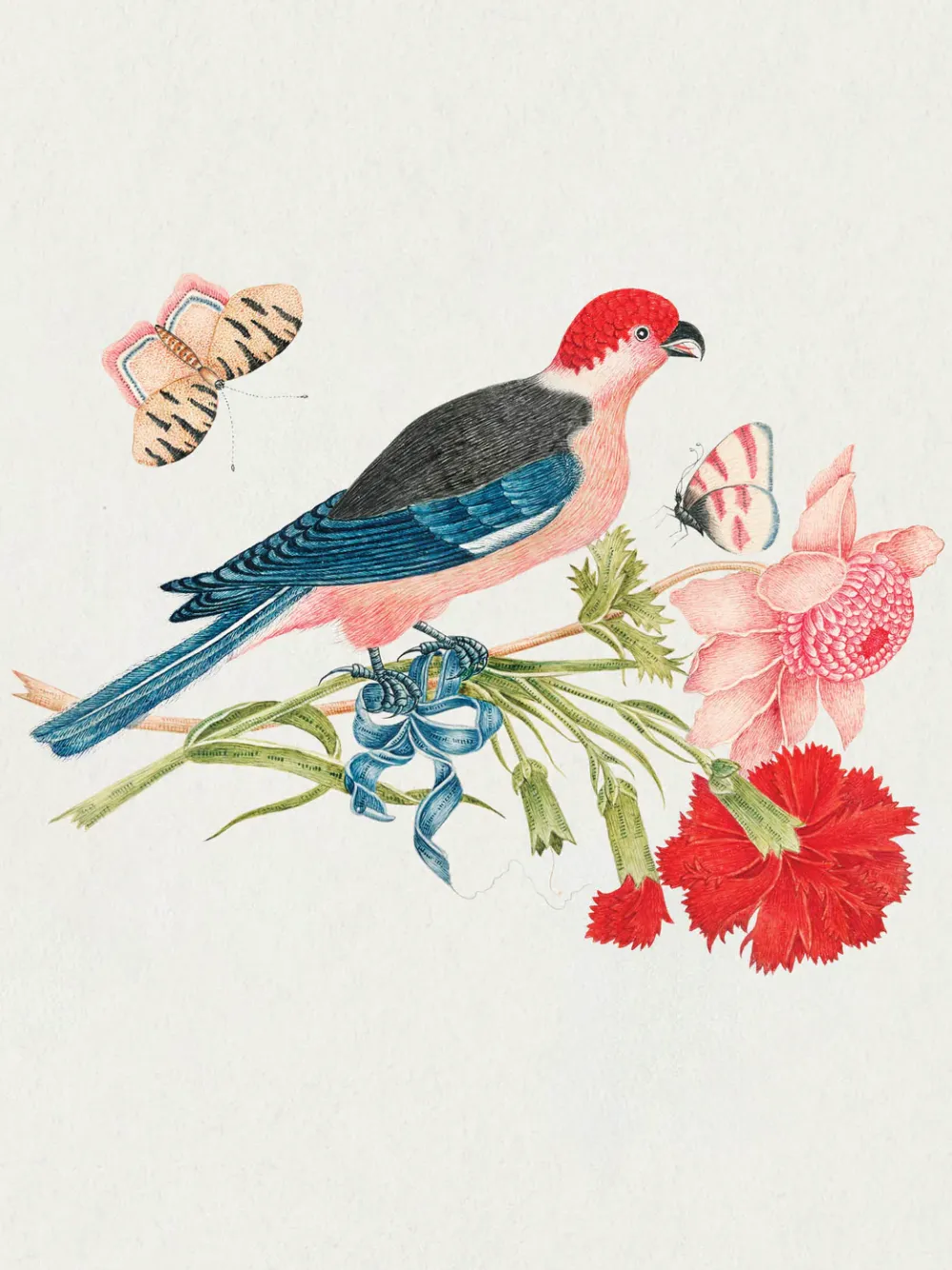 Pomegranate Boxed Cards|Flowers, Birds, & Butterflies Celebrations Boxed Notecards