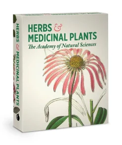 Pomegranate Games & Puzzles|Herbs & Medicinal Plants Knowledge Cards