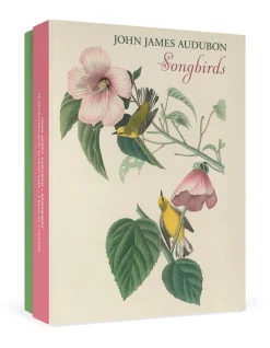 Pomegranate Boxed Cards|John James Audubon: Songbirds Boxed Notecard Assortment