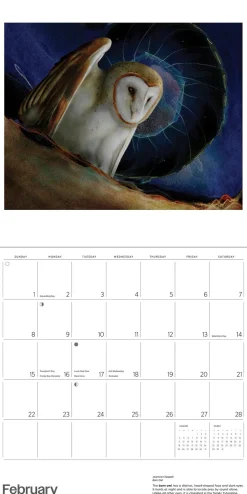 Pomegranate Calendars|Owls: Jeannine Chappell 2026 Wall Calendar