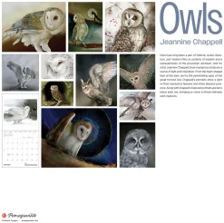 Pomegranate Calendars|Owls: Jeannine Chappell 2026 Wall Calendar