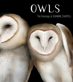 Pomegranate Books|Owls: The Paintings of Jeannine Chappell