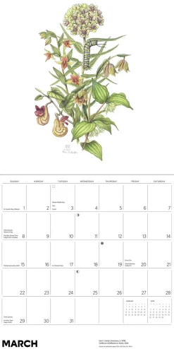 Pomegranate Calendars|Pollinators 2026 Wall Calendar