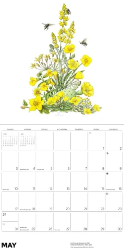 Pomegranate Calendars|Pollinators 2026 Wall Calendar