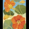 Pomegranate Boxed Cards|Siri Schillios Nasturtium Boxed Thank You Notes