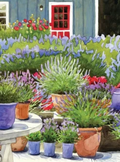 Greeting Cards|Pots of Lavender Birthday Card