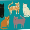 Boxed Cards|Pretty Paws Boxed Notecards