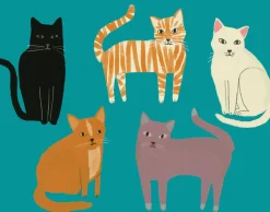 Boxed Cards|Pretty Paws Boxed Notecards