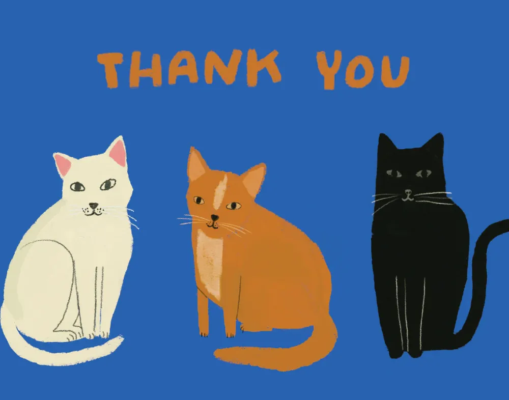 Boxed Cards|Pretty Paws Boxed Notecards