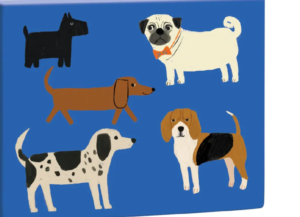Boxed Cards|Shaggy Dogs Boxed Notecards