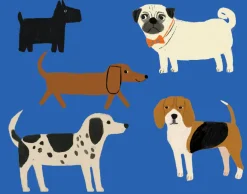 Boxed Cards|Shaggy Dogs Boxed Notecards