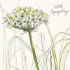 Greeting Cards|Spring Allium Sympathy Card