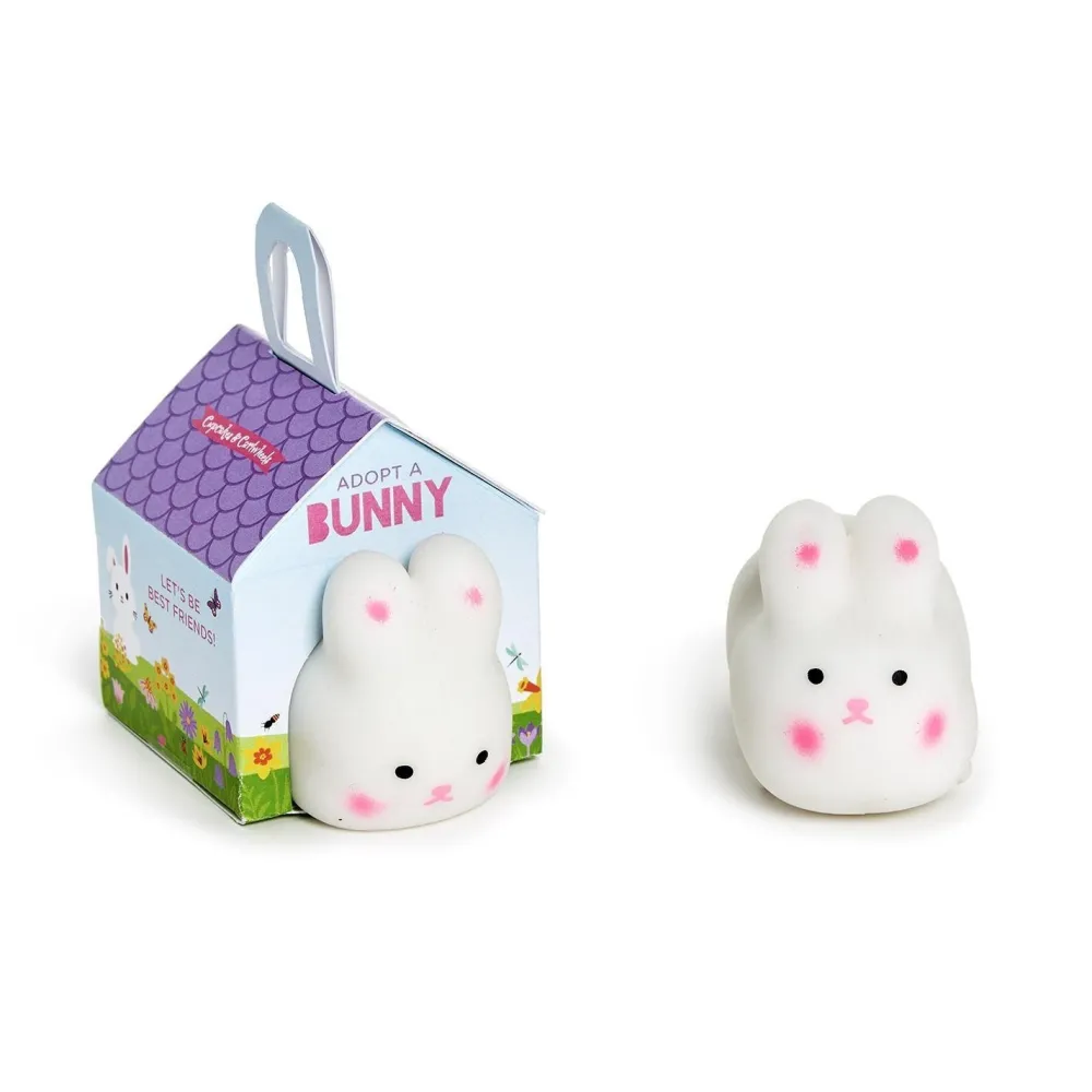 Toys|Stretch & Mold Bunny