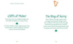 Books|Souvenirs|The Little Book of Ireland: Land of Saints and Scholars