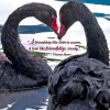 Greeting Cards|Thomas Moore Swan Anniversary Card