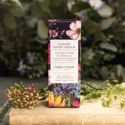 Toasted Crumpet Lotions & Creams|Clotted Cream Hibiscus Hand Cream