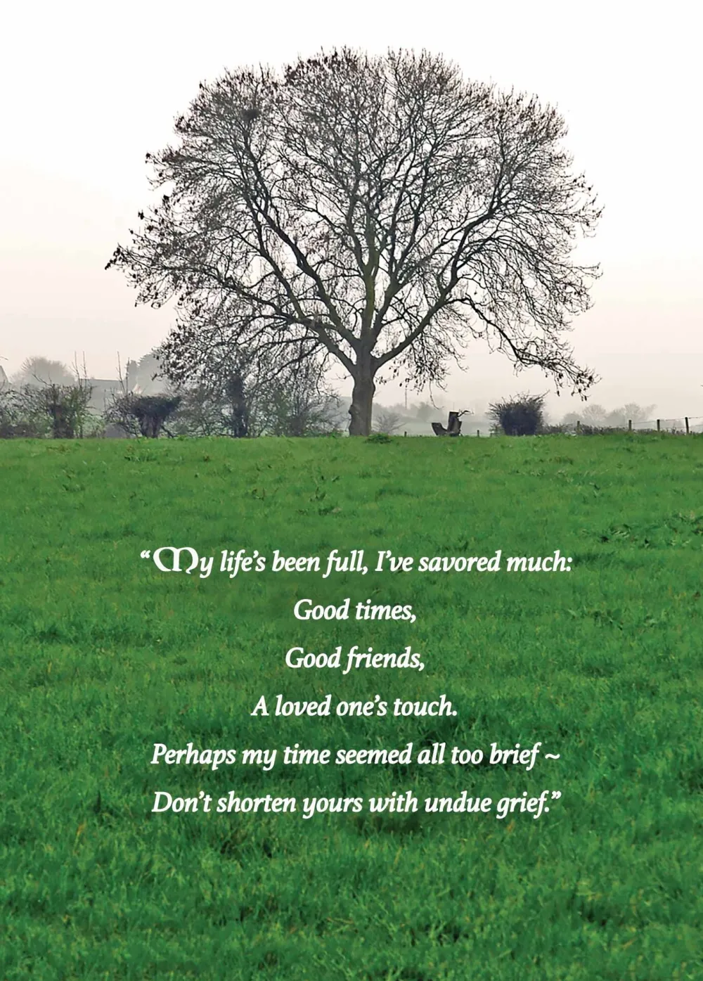 Greeting Cards|Undue Grief Irish Sympathy Card