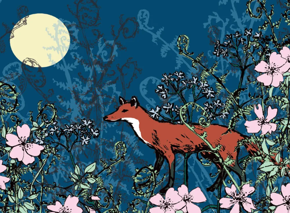Boxed Cards|Woodland Journal Boxed Notecards