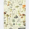 Journals & Other Stationery|Woodland Mushrooms Softcover Notebook (Dot Grid)