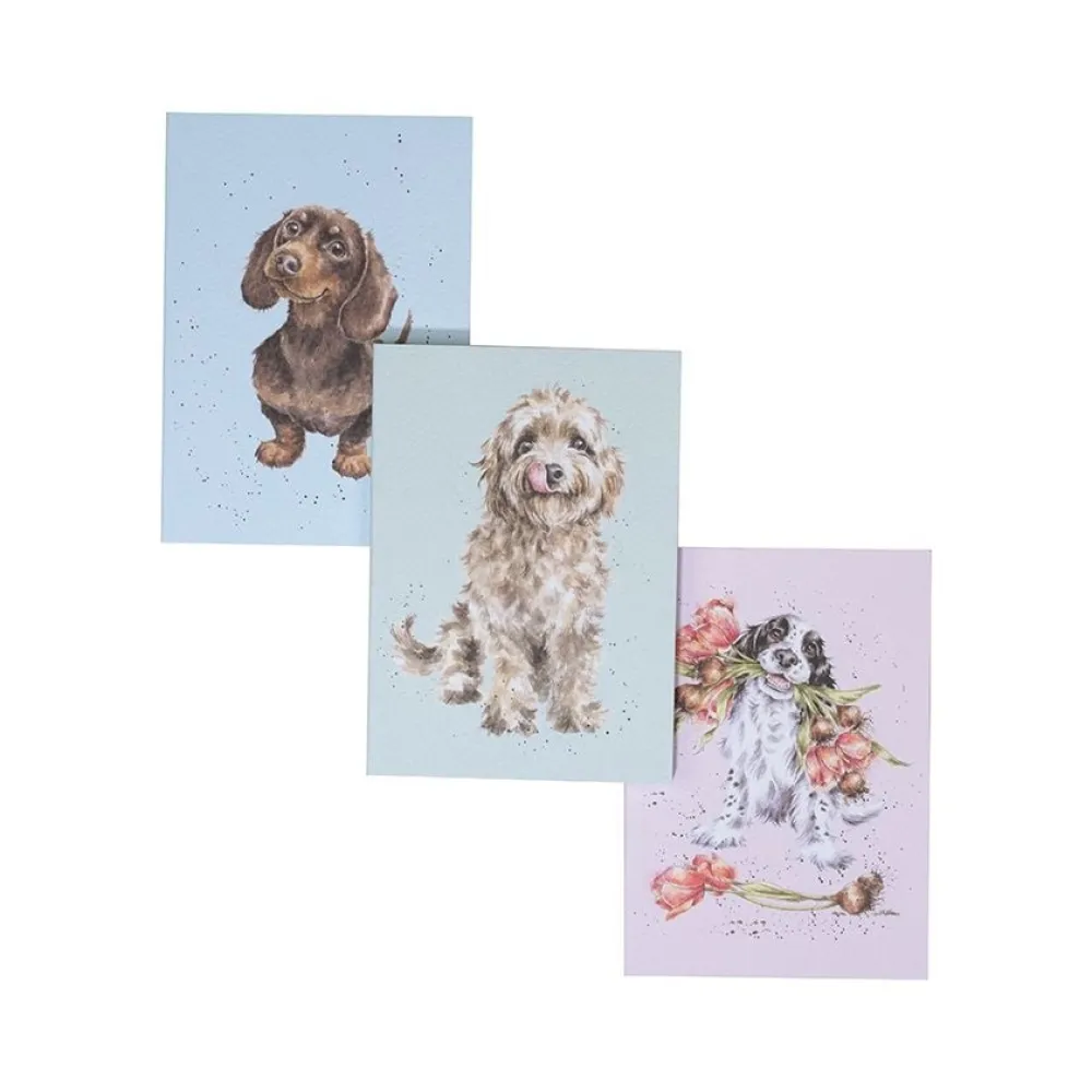 Wrendale Journals & Other Stationery|A Dog's Life Notebooks, Set of 3