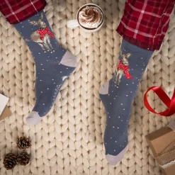 Wrendale Socks|'All Wrapped Up' Donkey Men's Socks