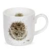 Wrendale Assorted Mugs|Awakening Hedgehog Small Mug