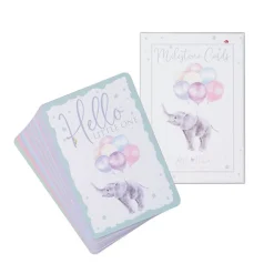Wrendale Boxed Cards|Baby Animal Milestone New Baby Boxed Cards