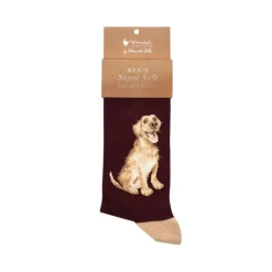 Wrendale Socks|'Good as Gold' Labrador Men's Socks