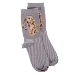 Wrendale Socks|'Hopeful' Labrador Gray Women's Socks