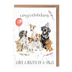 Wrendale Greeting Cards|Round of A-Paws Dog Birthday Card