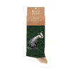 Wrendale Socks|'The Country Gent' Badger Men's Socks