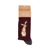 Wrendale Socks|'The Hare' Hare Men's Socks