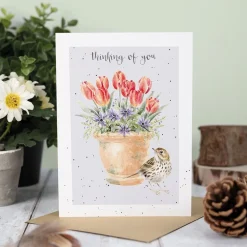 Wrendale Greeting Cards|'The Meadow Pipit' Bird Thinking of You Card