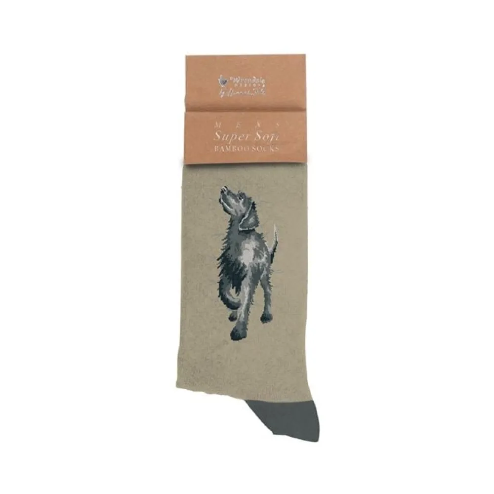 Wrendale Socks|'Walkies' Labrador Men's Socks