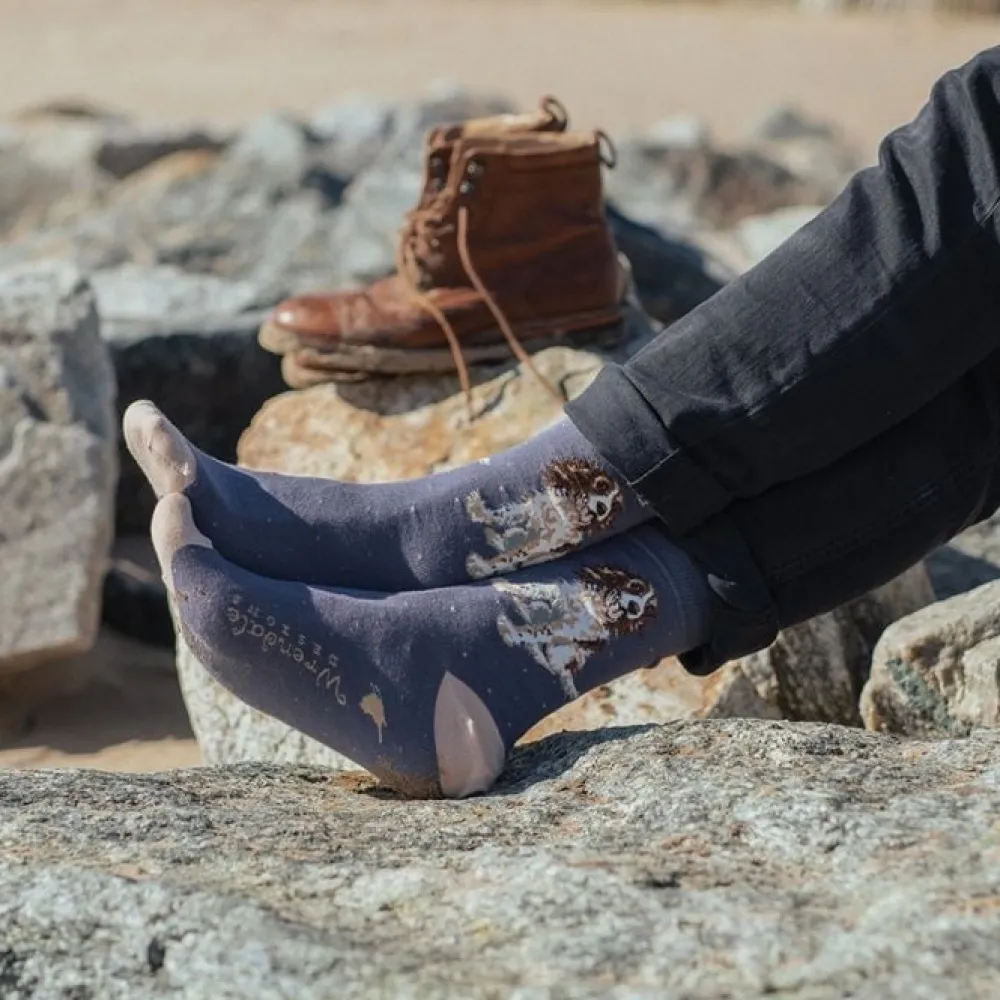Wrendale Socks|'Willow' Spaniel Men's Socks